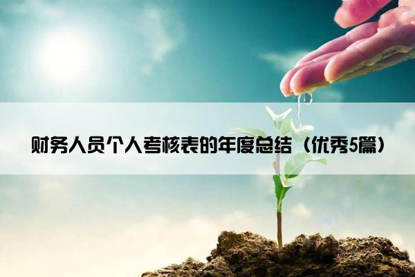 财务人员个人考核表的年度总结（优秀5篇）