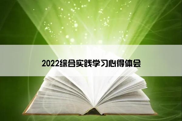 2022综合实践学习心得体会