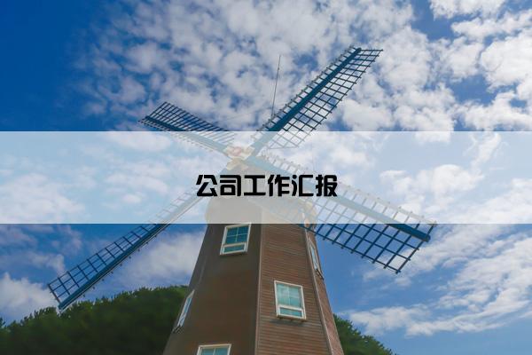 公司工作汇报