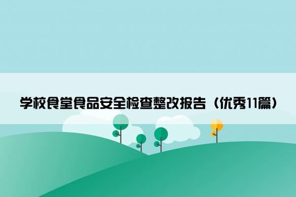 学校食堂食品安全检查整改报告（优秀11篇）