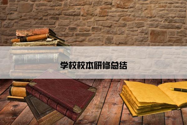 学校校本研修总结