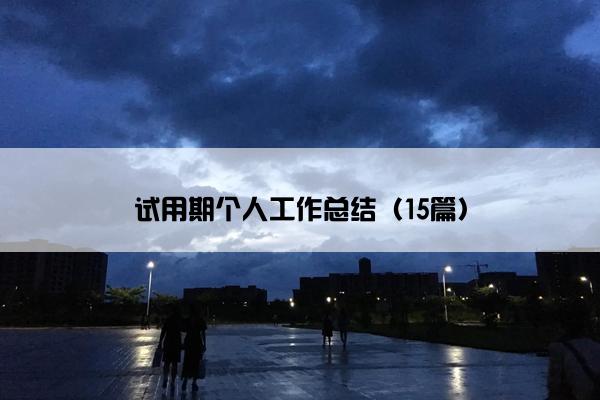 试用期个人工作总结（15篇）