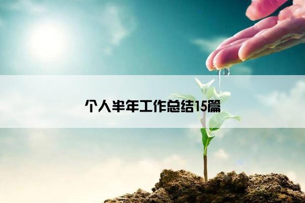 个人半年工作总结15篇