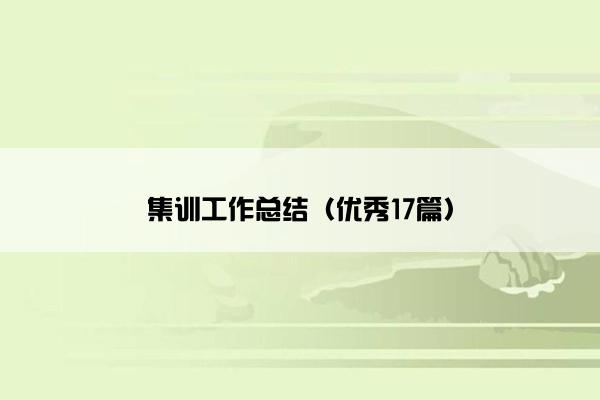 集训工作总结（优秀17篇）