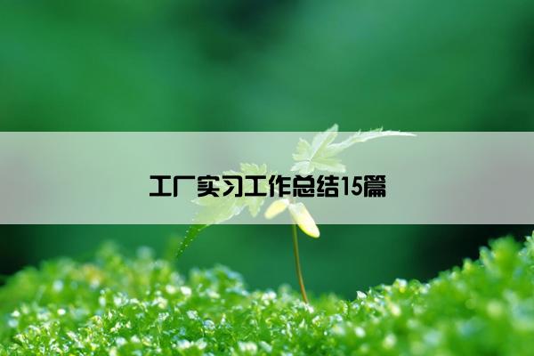 工厂实习工作总结15篇