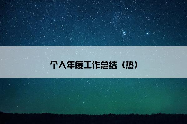个人年度工作总结（热）
