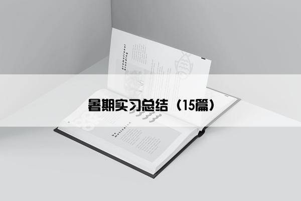 暑期实习总结（15篇）