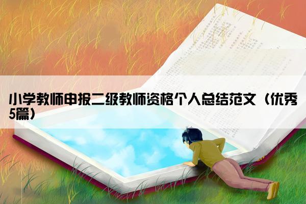 小学教师申报二级教师资格个人总结范文（优秀5篇）
