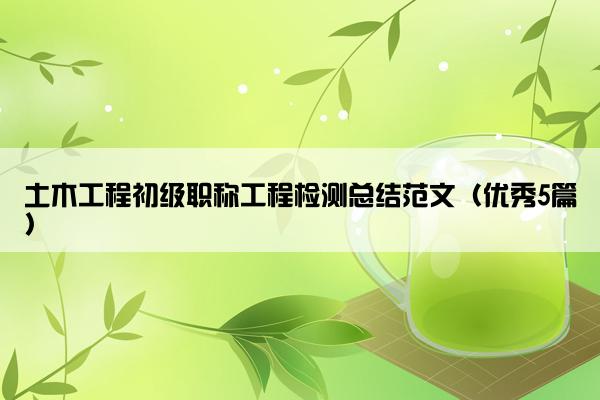 土木工程初级职称工程检测总结范文（优秀5篇）
