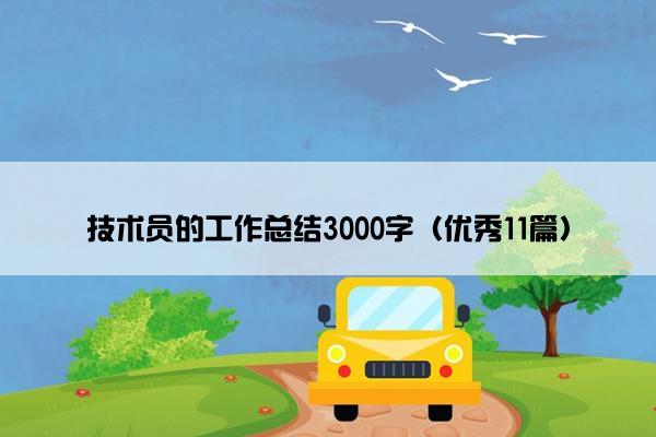 技术员的工作总结3000字（优秀11篇）