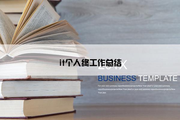 it个人终工作总结