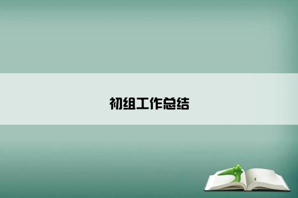 初组工作总结