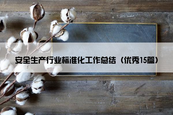 安全生产行业标准化工作总结（优秀15篇）