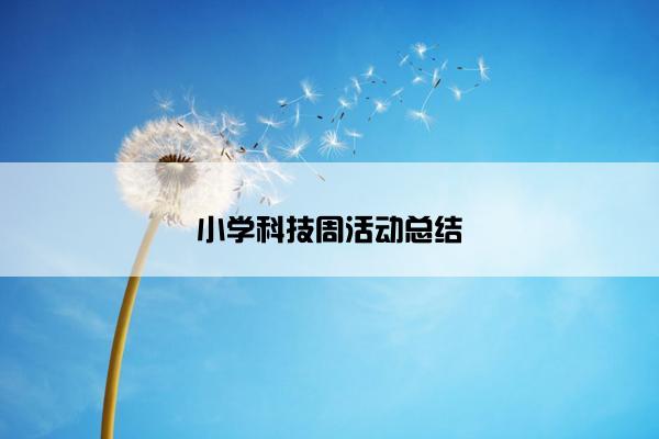 小学科技周活动总结