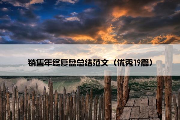 销售年终复盘总结范文（优秀19篇）