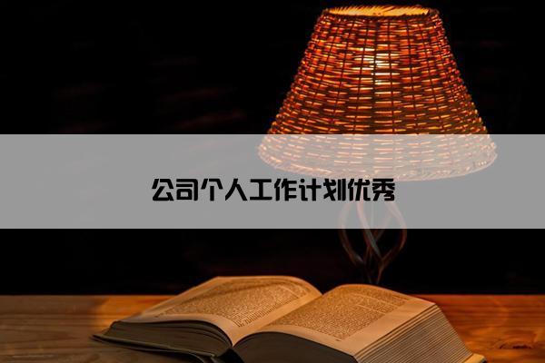 公司个人工作计划优秀