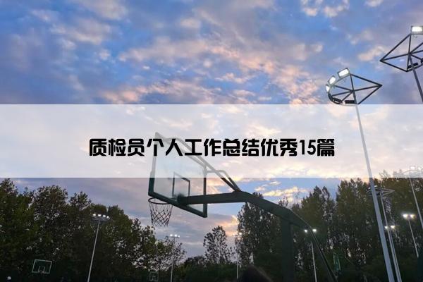 质检员个人工作总结优秀15篇