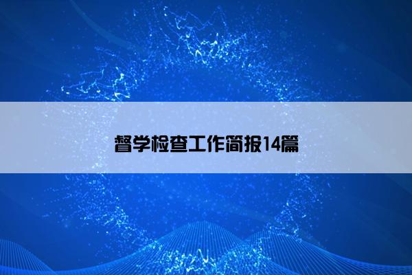 督学检查工作简报14篇