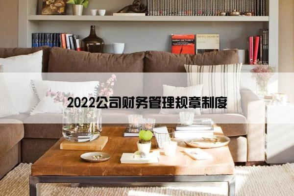 2022公司财务管理规章制度