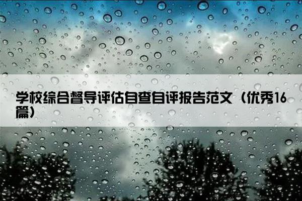 学校综合督导评估自查自评报告范文（优秀16篇）