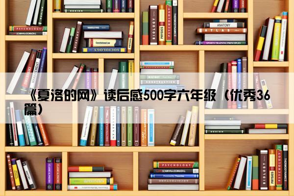 《夏洛的网》读后感500字六年级（优秀36篇）