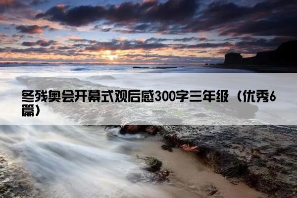 冬残奥会开幕式观后感300字三年级（优秀6篇）