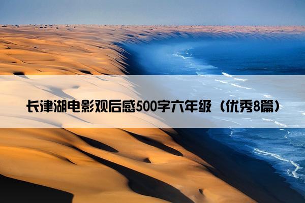 长津湖电影观后感500字六年级（优秀8篇）