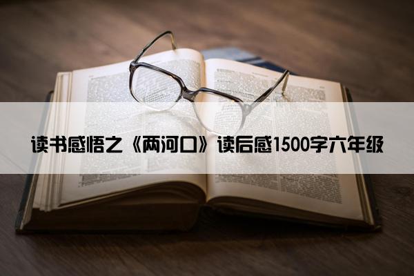 读书感悟之《两河口》读后感1500字六年级