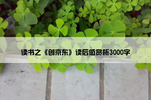 读书之《创京东》读后感赏析3000字