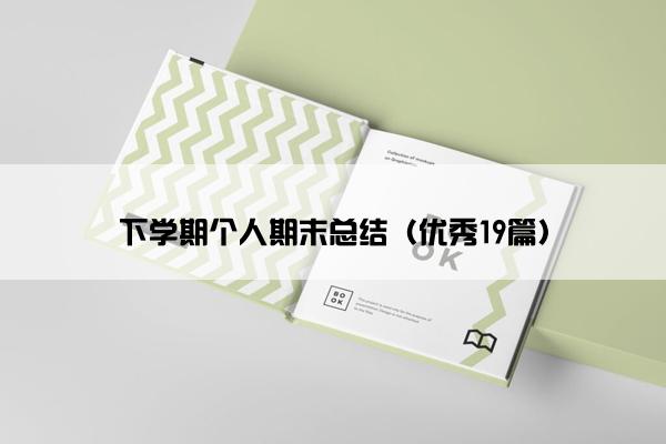 下学期个人期末总结（优秀19篇）
