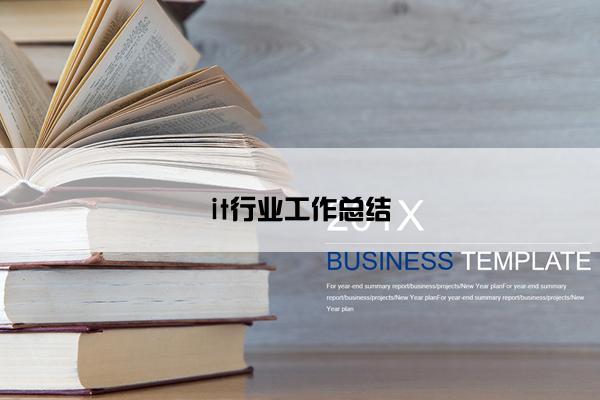 it行业工作总结