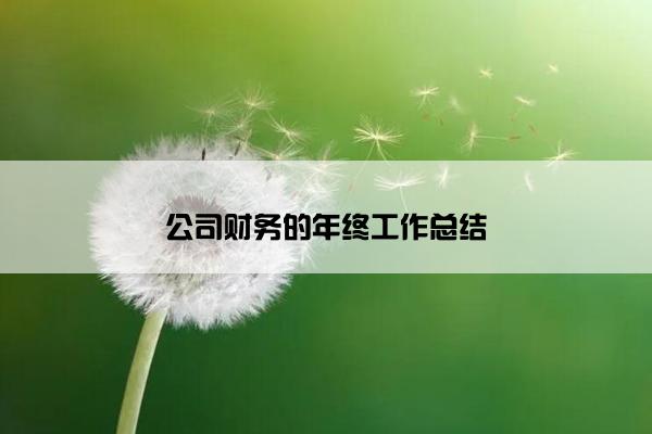 公司财务的年终工作总结