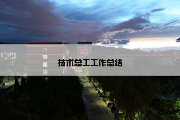 技术总工工作总结