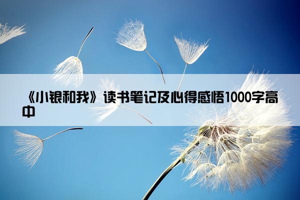 《小银和我》读书笔记及心得感悟1000字高中
