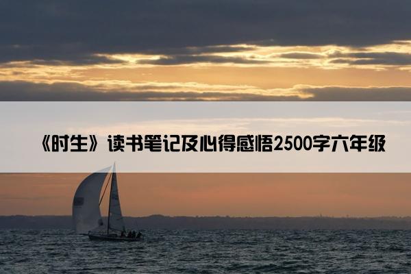 《时生》读书笔记及心得感悟2500字六年级