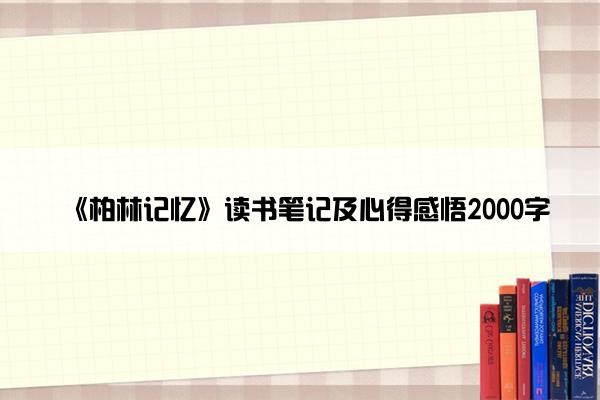 《柏林记忆》读书笔记及心得感悟2000字