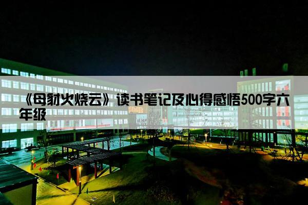《母豺火烧云》读书笔记及心得感悟500字六年级