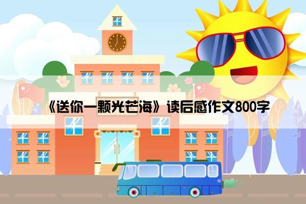 《送你一颗光芒海》读后感作文800字