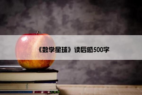 《数学星球》读后感500字