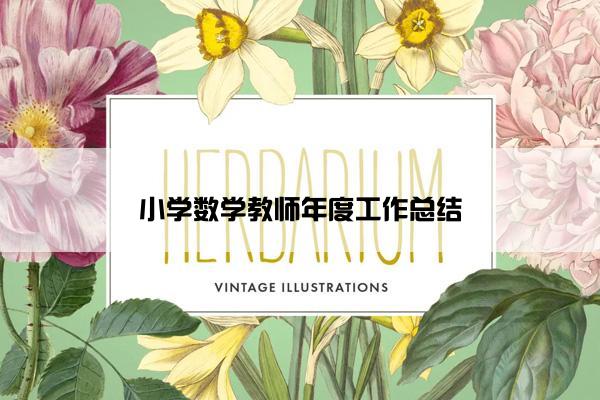 小学数学教师年度工作总结