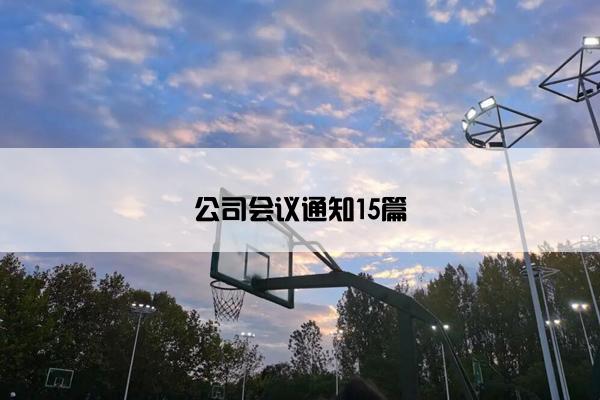 公司会议通知15篇