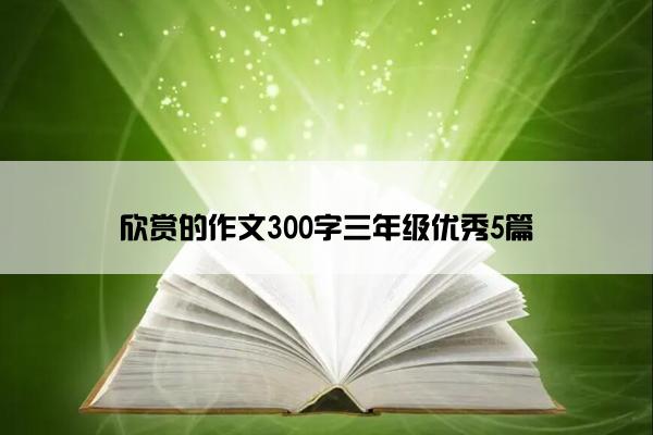 欣赏的作文300字三年级优秀5篇