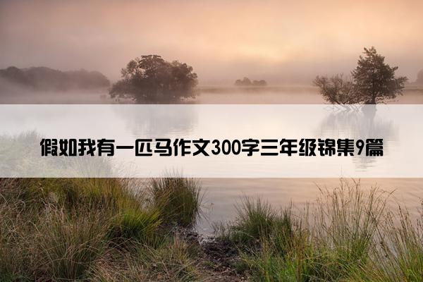 假如我有一匹马作文300字三年级锦集9篇