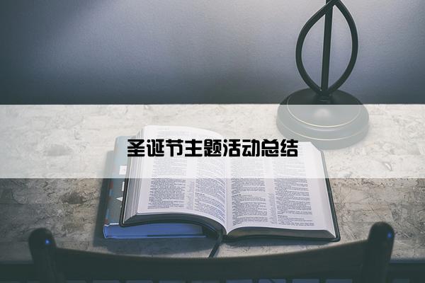 圣诞节主题活动总结