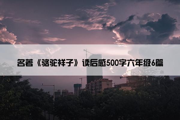 名著《骆驼祥子》读后感500字六年级6篇
