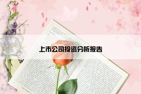 上市公司投资分析报告