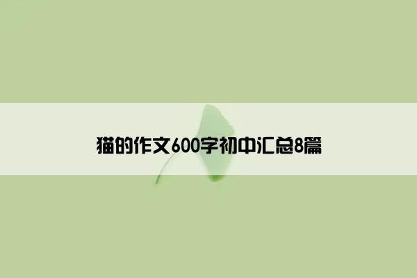 猫的作文600字初中汇总8篇