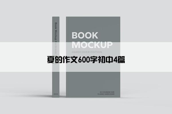 夏的作文600字初中4篇