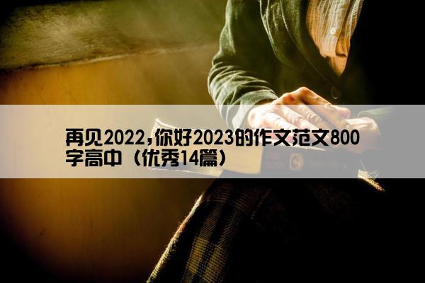 再见2022,你好2023的作文范文800字高中（优秀14篇）