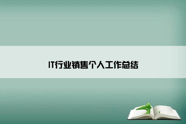 IT行业销售个人工作总结
